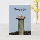 Praying for Peace Hope & Joy, John 14:27 カード (黄色い花)