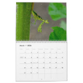 Praying Mantis Insects Calendar カレンダー (3月 2026)