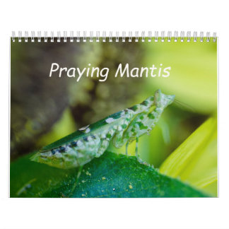 Praying Mantis Insects Calendar カレンダー