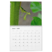 Praying Mantis Insects Calendar カレンダー (3月 2027)