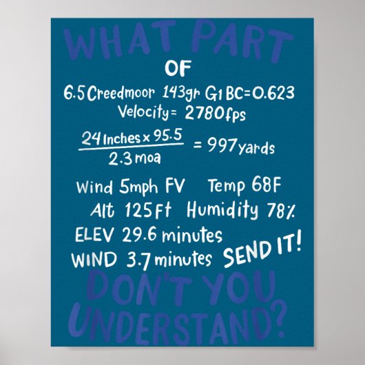 Precision Shooting Funny Gun Shooting Srts Gun Lov ポスター (正面)