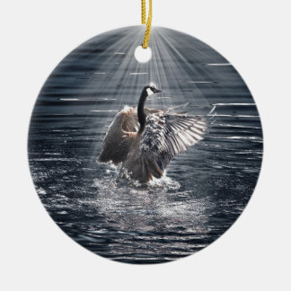 Preening, Flapping Canada Gooseの写真 セラミックオーナメント