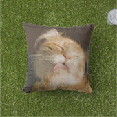 Preening Maine Coonクローズアップ写真 クッション (芝生)