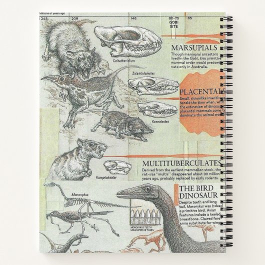 Prehistoric Notebook ノートブック (裏面)