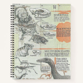 Prehistoric Notebook ノートブック