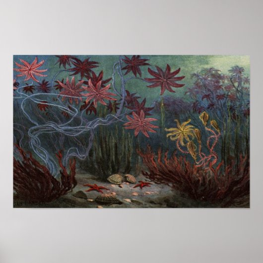 Prehistoric Ocean ポスター (正面)