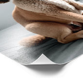 Premium Fine Art Dog Photography for Pet Lovers フォトプリント (角)