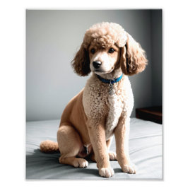 Premium Fine Art Dog Photography for Pet Lovers フォトプリント