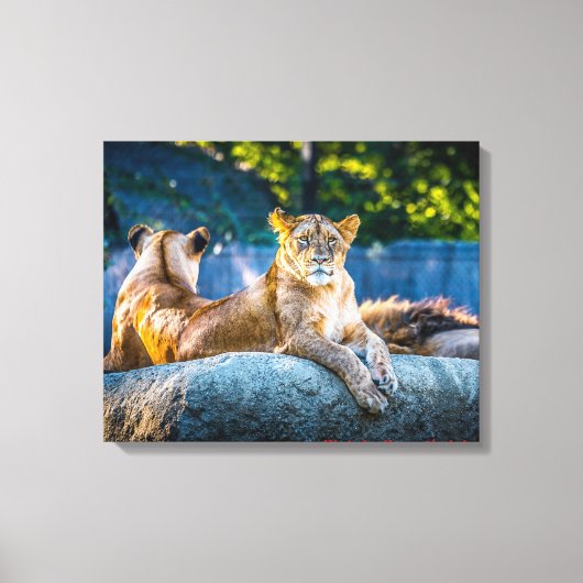 Premium Giclee-wrapped canvas キャンバスプリント (正面)