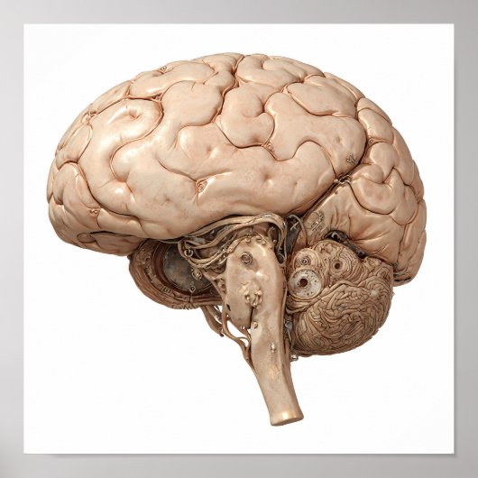 Premium Gilded Design: Luxury Clockwork Organ ポスター (正面)