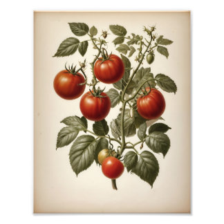 Premium Satin Photo Paper Photo Enlargement フォトプリント