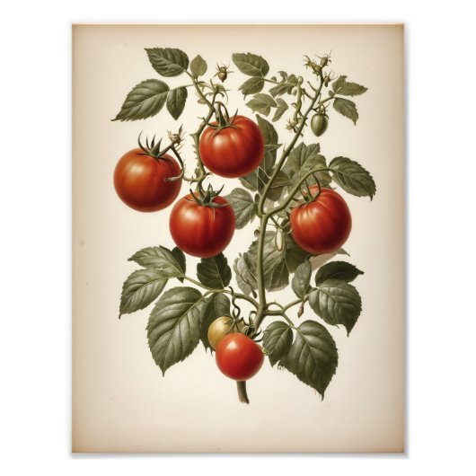 Premium Satin Photo Paper Photo Enlargement フォトプリント (正面)