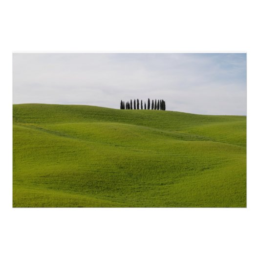 Premium Satin Photo Paper Photo Enlargement フォトプリント (正面)