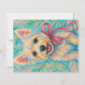 Preppy Westie (正面)