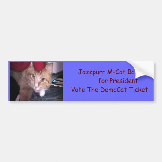 PresのためのJazzpurr DemoCat バンパーステッカー (正面)