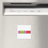 Prescott周期表名磁石 マグネット (インサイチュ (食洗機))