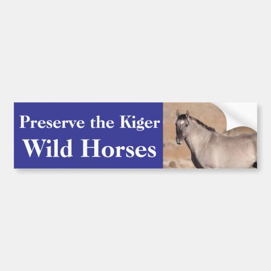 Preserve the Kiger Wild Horses Bumper Sticker バンパーステッカー (正面)
