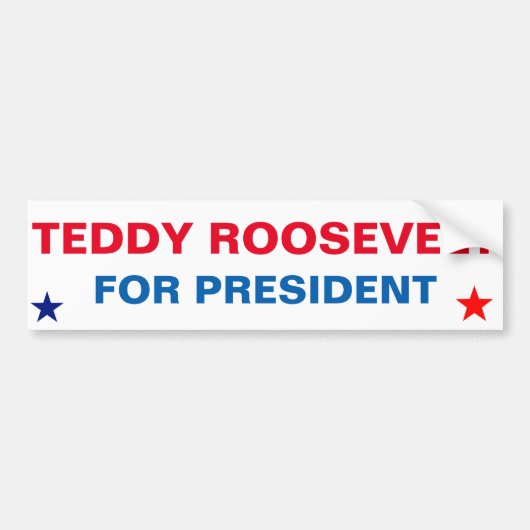 Presidential StickeTeddy Roosevelt for President バンパーステッカー (正面)