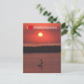 Presque Isleのサンセット ポストカード (スタンド正面)