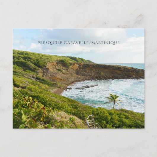 Presqu'île de la Caravelle Martinique travel ポストカード (正面)