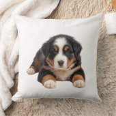 Pretty Bernese Mountain Dog クッション (ブランケット)