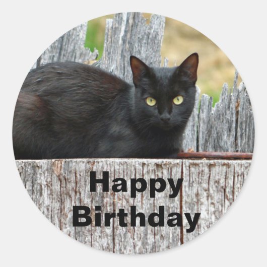 Pretty Black Cat Log Photo Birthday ラウンドシール (正面)
