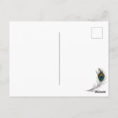 Pretty Blue and Gold Peacock Keeping in Touch ポストカード (裏面)