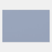 Pretty Blue Butterfly Birthday ラッピングペーパーシート (正面2)