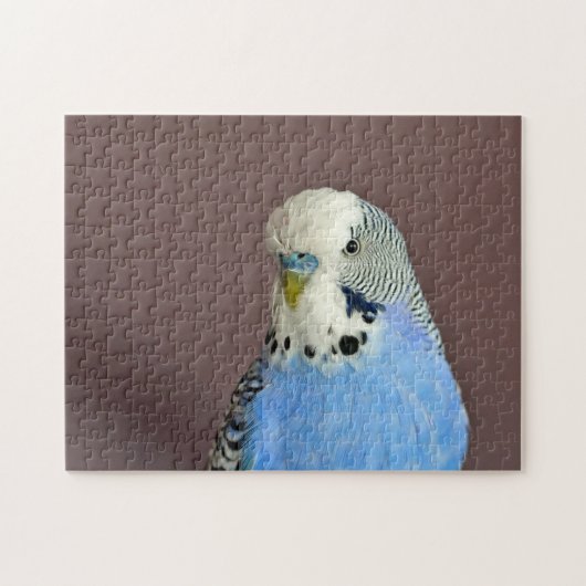 Pretty Blue Parakeet Photo Jigsaw Puzzle ジグソーパズル (横)