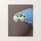 Pretty Blue Parakeet Photo Jigsaw Puzzle ジグソーパズル (縦)