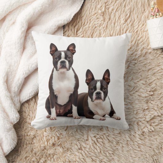 Pretty Boston Terrier Throw Pillow  クッション (ブランケット)