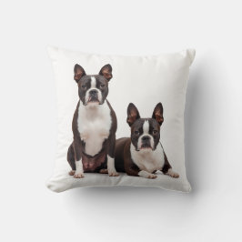 Pretty Boston Terrier Throw Pillow  クッション