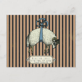 Pretty Bow Sheep™ Collection - ポストカード