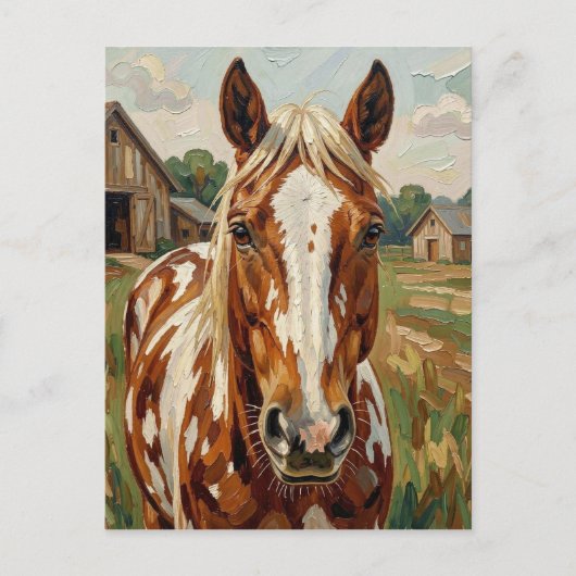 Pretty Brown and White Horse | Keeping in Touch ポストカード (正面)