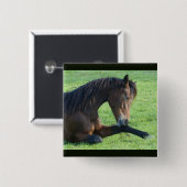 Pretty Brown Horse Laying in the Grass 缶バッジ (正面&裏面)