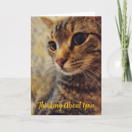 Pretty Cat Thinking of You Card カード (正面)