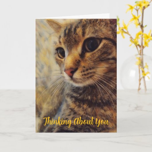 Pretty Cat Thinking of You Card カード (黄色い花)