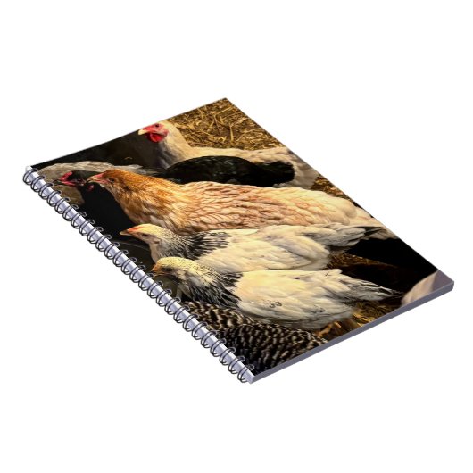 Pretty  Chickens Notebook ノートブック (右側)