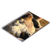Pretty  Chickens Notebook ノートブック (左側)