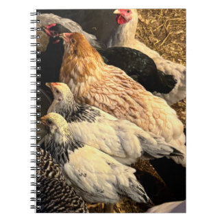 Pretty  Chickens Notebook ノートブック