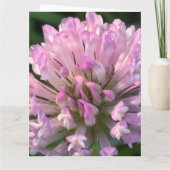 Pretty Clover Flower  カード (裏面)