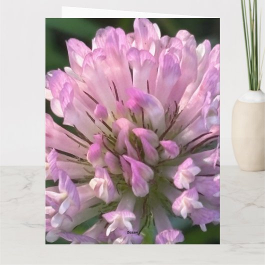 Pretty Clover Flower  カード (裏面)