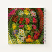 Pretty Evening Primroses..... ノートブック (裏面)