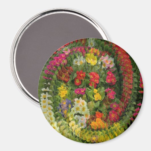 Pretty Evening Primroses..... マグネット (正面/裏面)