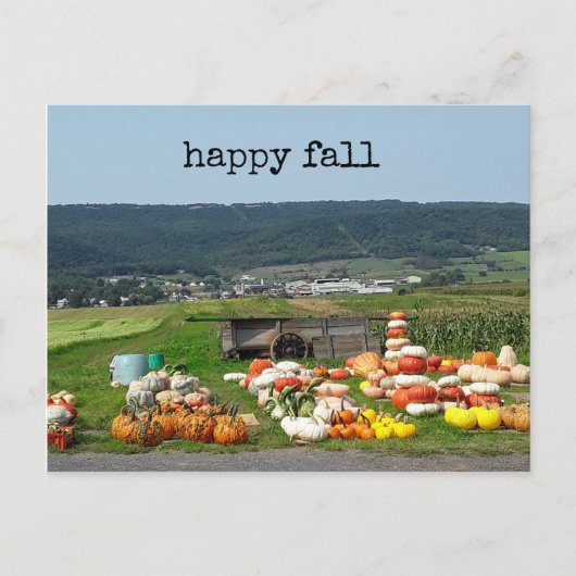 pretty fall pumpkin farm post card ポストカード (正面)