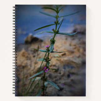 Pretty in Purple College-Ruled Notebook ノートブック