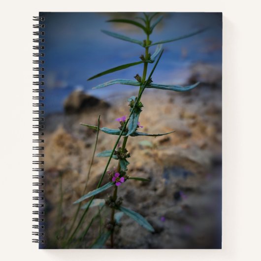 Pretty in Purple College-Ruled Notebook ノートブック (正面)