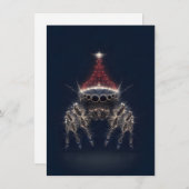 Pretty Jumping Spider Christmas Cards シーズンカード (正面/裏面)
