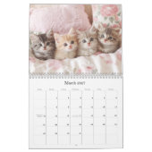 Pretty Kittens Pastel Pink 2026 Wall Calendar カレンダー (3月 2027)