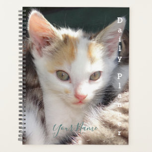 Pretty Kitty - デイリー プランナー - HAMbWG